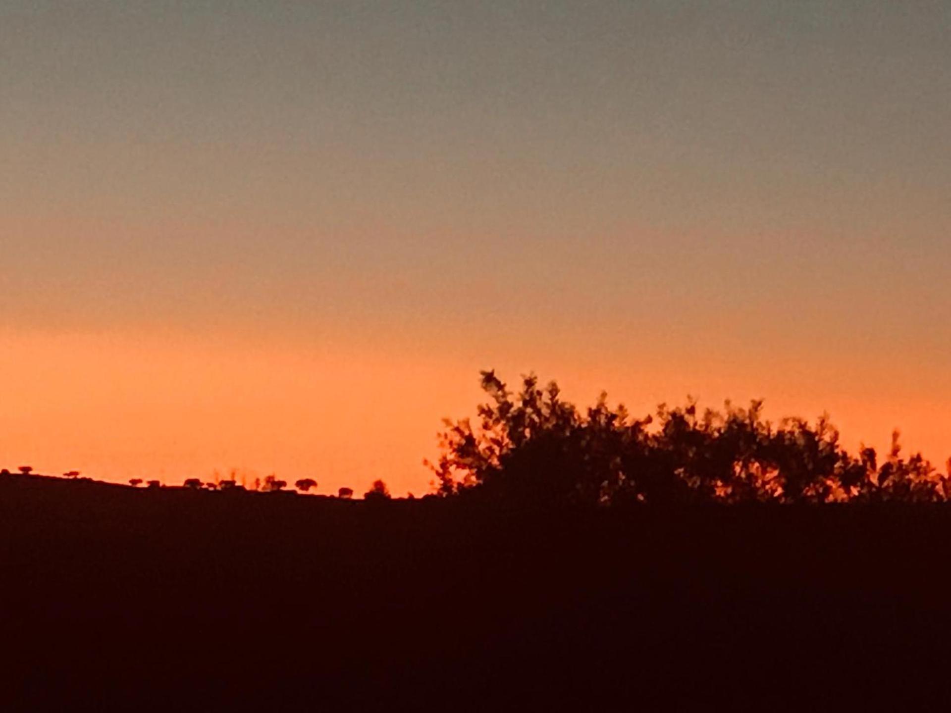 Por-Do-Sol Villa São Pedro do Corval المظهر الخارجي الصورة