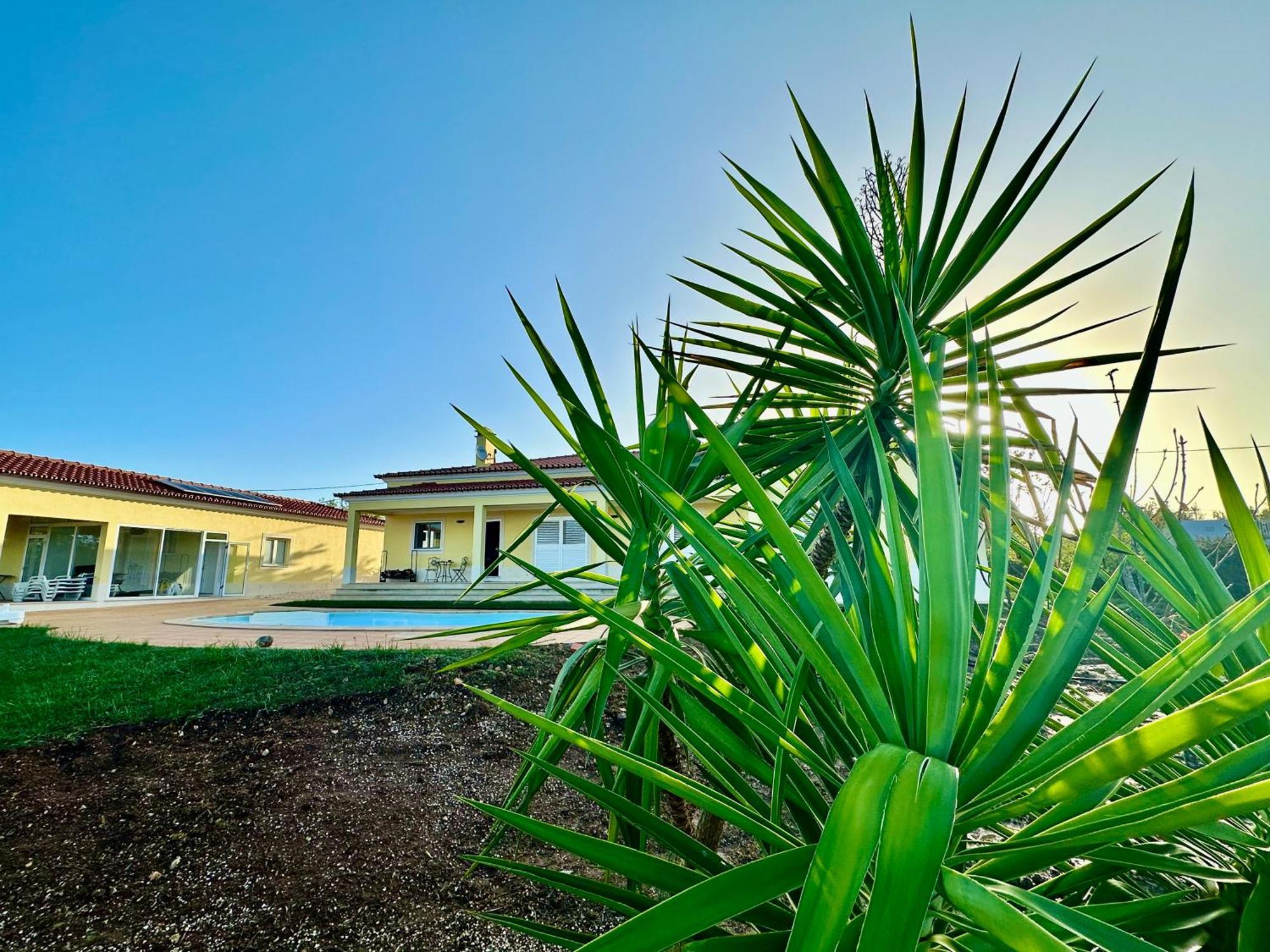 Por-Do-Sol Villa São Pedro do Corval المظهر الخارجي الصورة