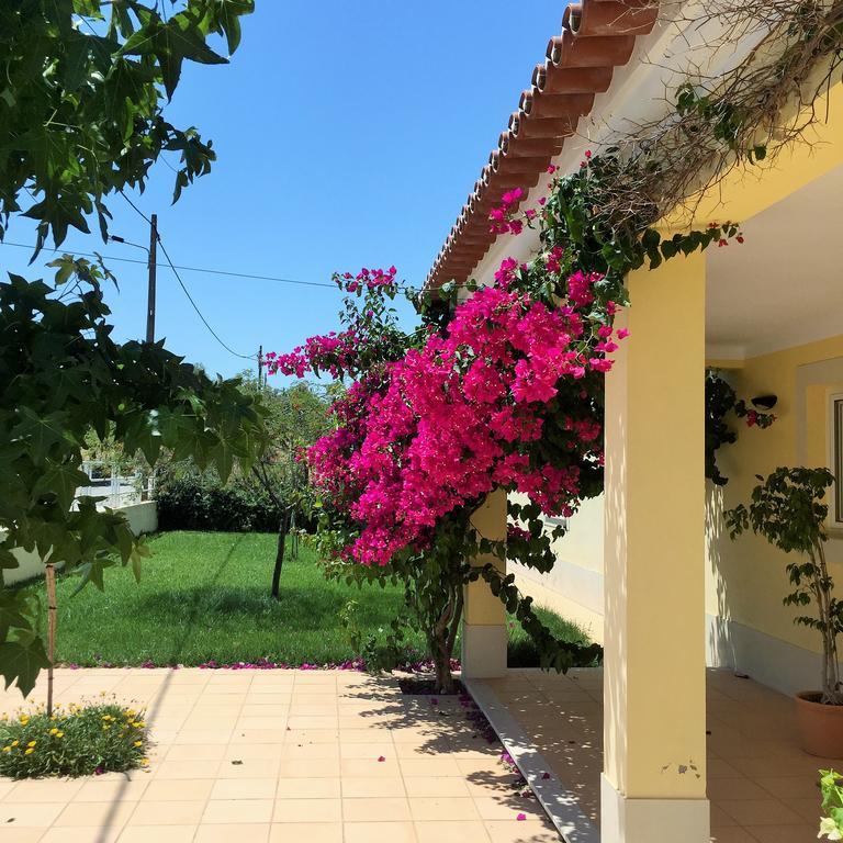 Por-Do-Sol Villa São Pedro do Corval الغرفة الصورة